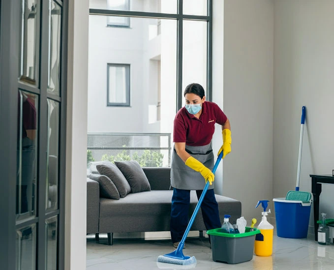 Cleaning and Maintenance